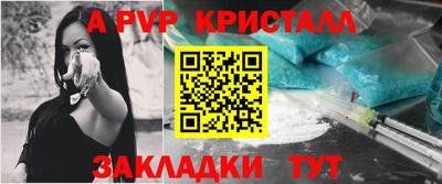шишки Новодвинск