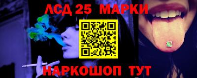 шишки Новодвинск