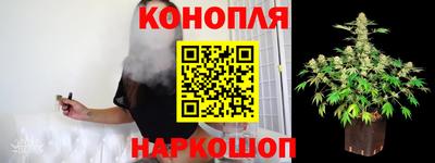 шишки Новодвинск