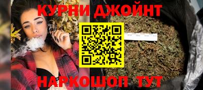 шишки Новодвинск