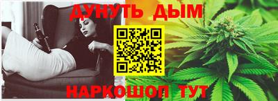шишки Новодвинск