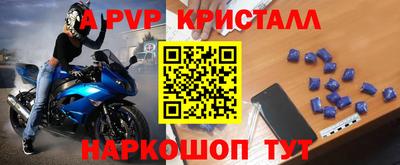 шишки Новодвинск