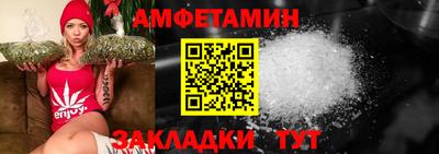 шишки Новодвинск